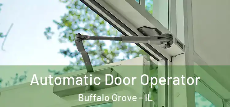 Automatic Door Operator Buffalo Grove - IL