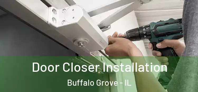 Door Closer Installation Buffalo Grove - IL