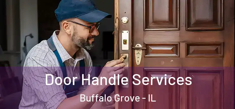 Door Handle Services Buffalo Grove - IL