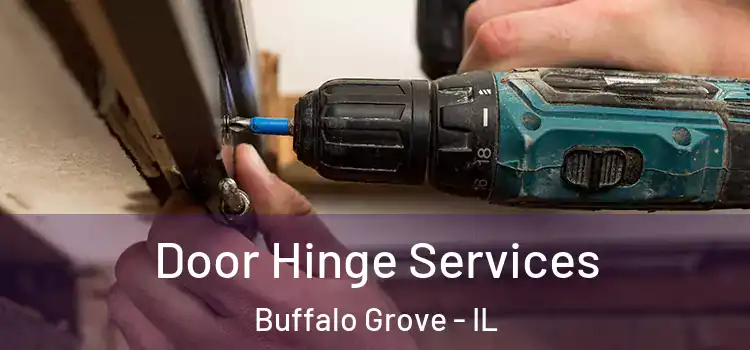 Door Hinge Services Buffalo Grove - IL