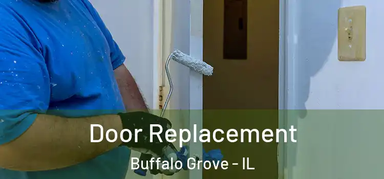 Door Replacement Buffalo Grove - IL