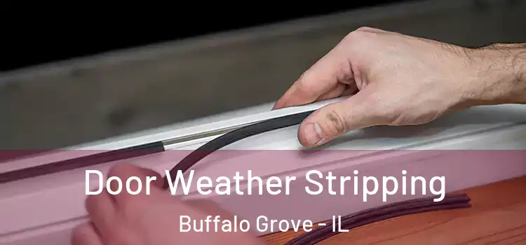  Door Weather Stripping Buffalo Grove - IL