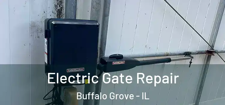  Electric Gate Repair Buffalo Grove - IL