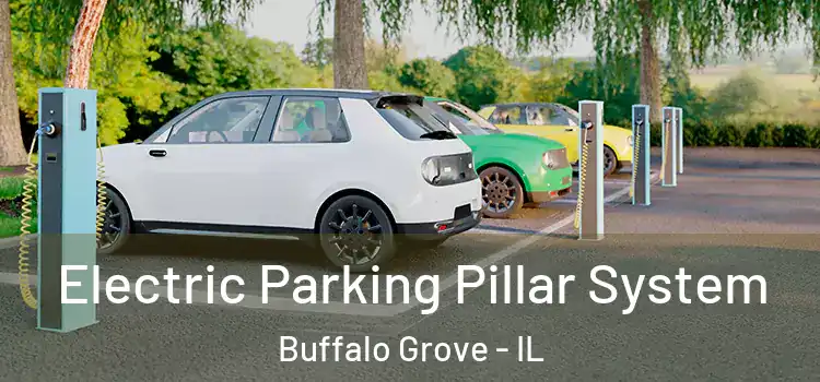 Electric Parking Pillar System Buffalo Grove - IL