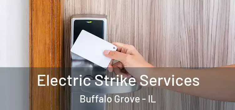  Electric Strike Services Buffalo Grove - IL