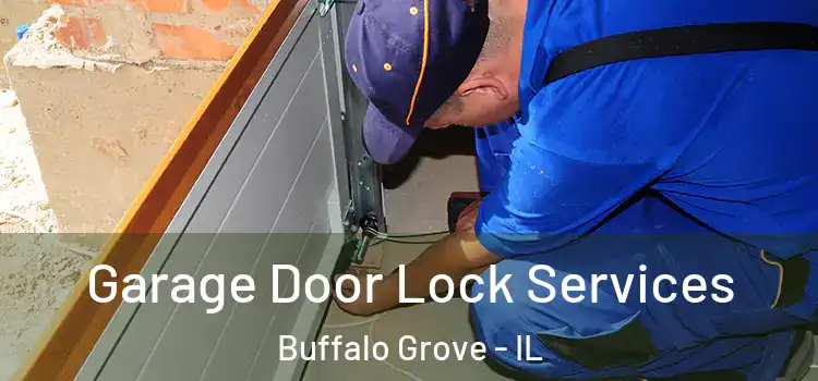 Garage Door Lock Services Buffalo Grove - IL