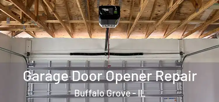  Garage Door Opener Repair Buffalo Grove - IL