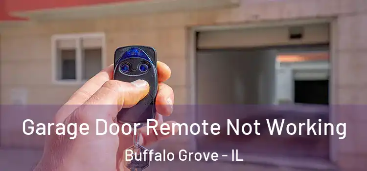  Garage Door Remote Not Working Buffalo Grove - IL