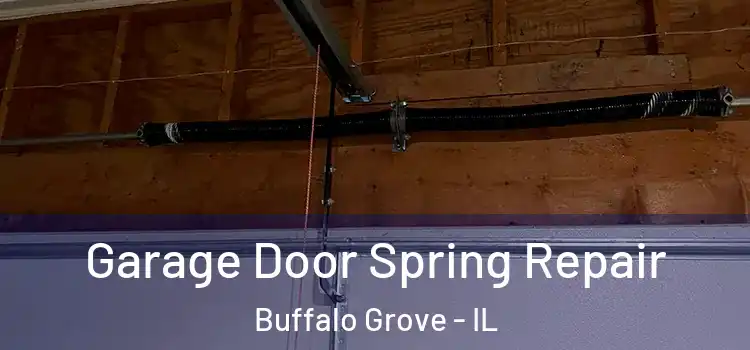  Garage Door Spring Repair Buffalo Grove - IL