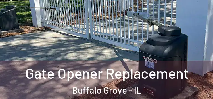 Gate Opener Replacement Buffalo Grove - IL