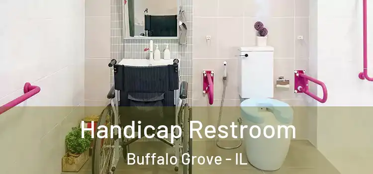 Handicap Restroom Buffalo Grove - IL