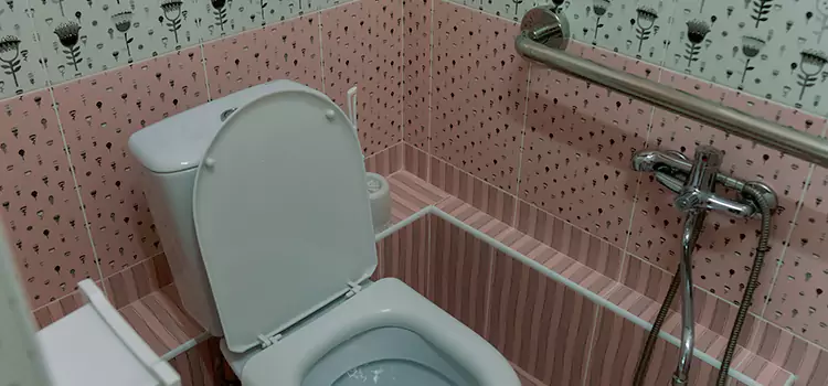 Meeting Diverse Needs With Accessible Restroom Solutions in Buffalo Grove, IL