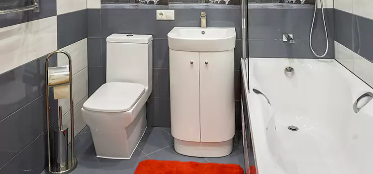 Hansgrohe Shaving Mirror Buffalo Grove