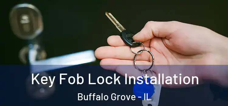 Key Fob Lock Installation Buffalo Grove - IL
