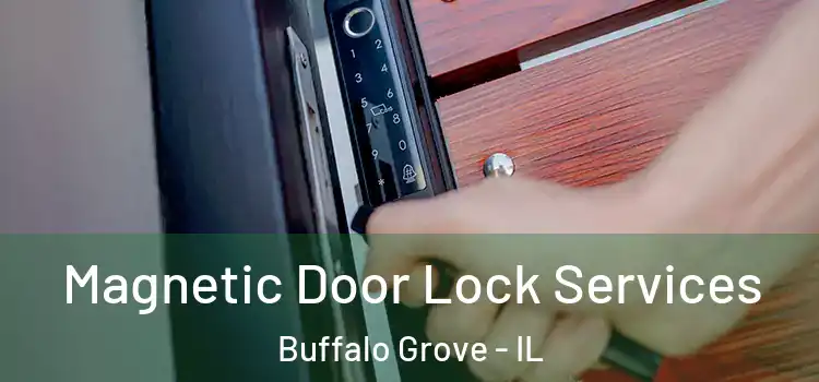 Magnetic Door Lock Services Buffalo Grove - IL