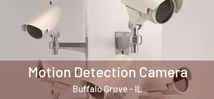  Motion Detection Camera Buffalo Grove - IL