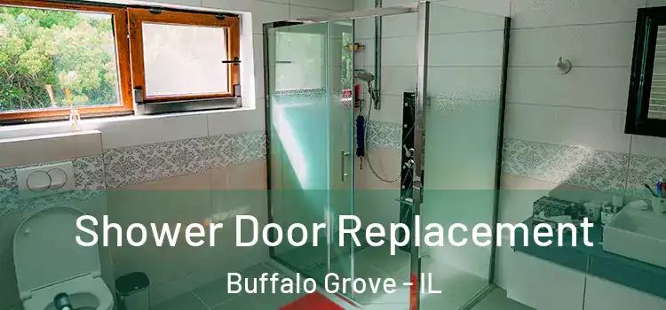 Shower Door Replacement Buffalo Grove - IL