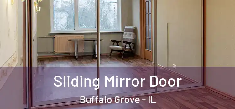  Sliding Mirror Door Buffalo Grove - IL
