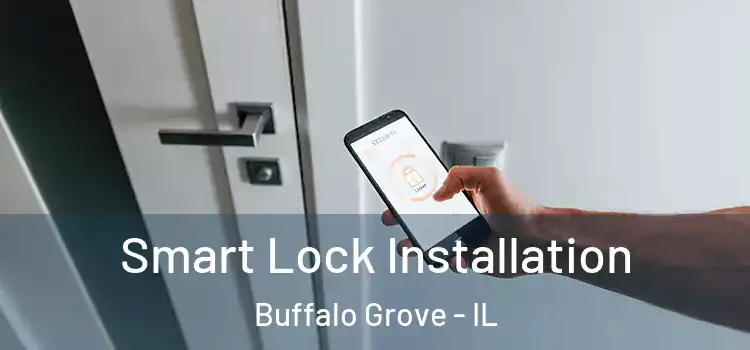 Smart Lock Installation Buffalo Grove - IL